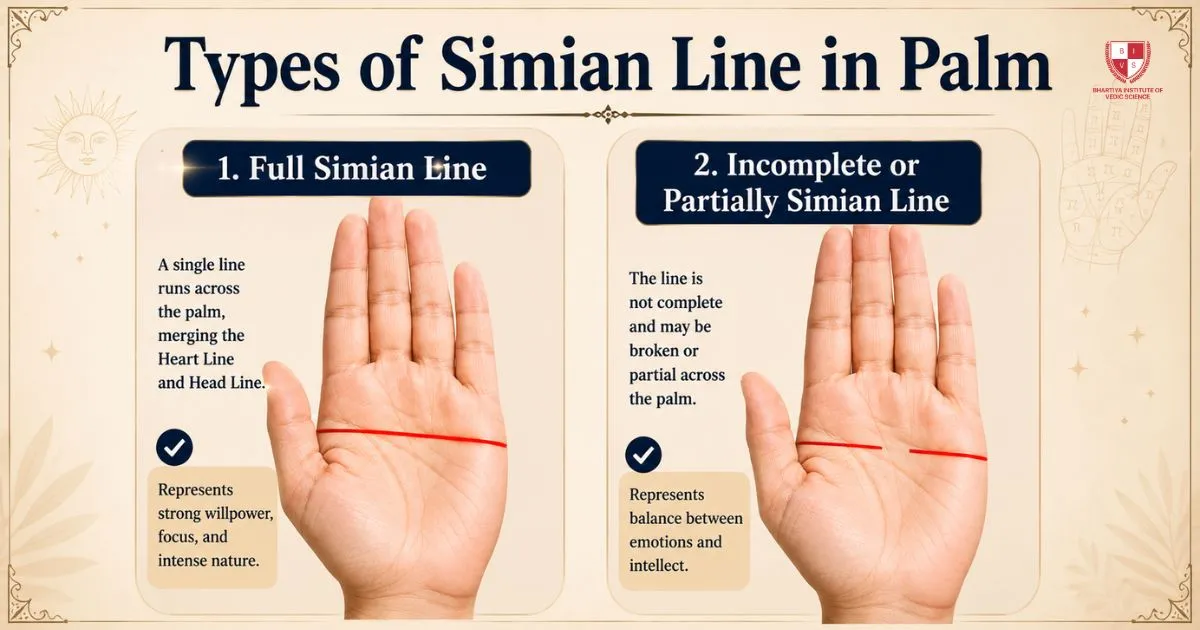 Types of Simian Line in Palm